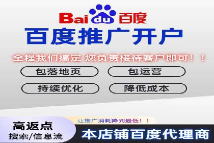百度竞价推广公司经典案例解析：广告投放策略的智慧